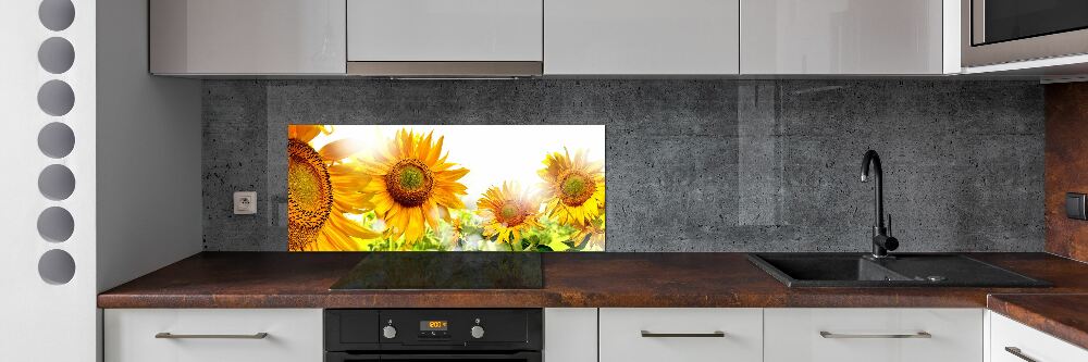 Cooker splashback Sunflowers