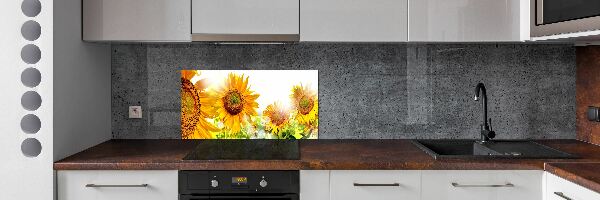 Cooker splashback Sunflowers