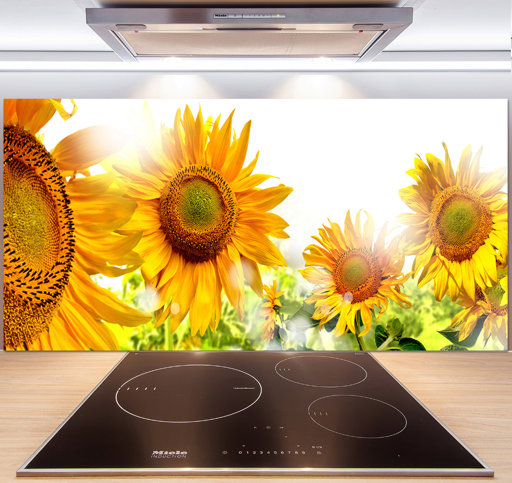 Cooker splashback Sunflowers