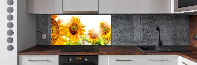 Cooker splashback Sunflowers