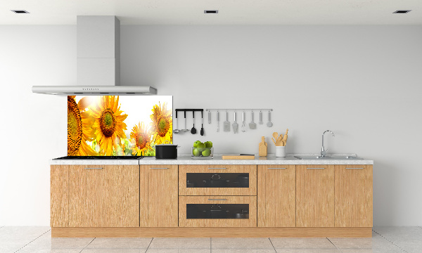 Cooker splashback Sunflowers