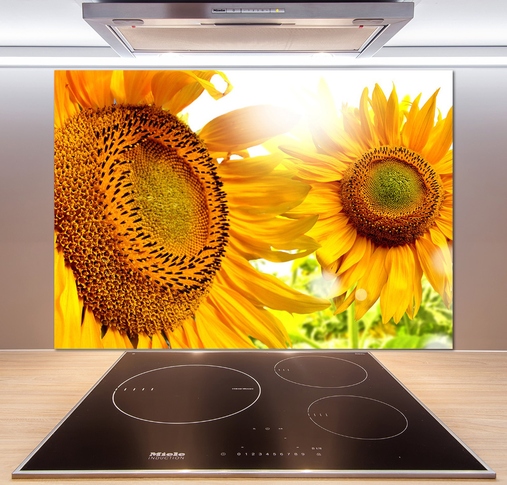 Cooker splashback Sunflowers