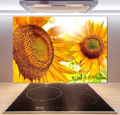 Cooker splashback Sunflowers