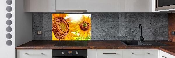 Cooker splashback Sunflowers