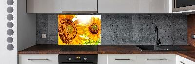 Cooker splashback Sunflowers