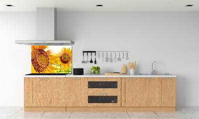 Cooker splashback Sunflowers