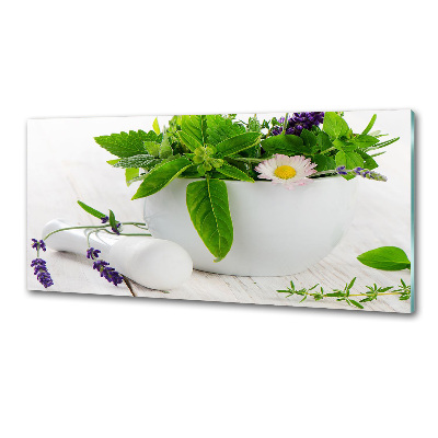 Cooker splashback Mortar and herbs