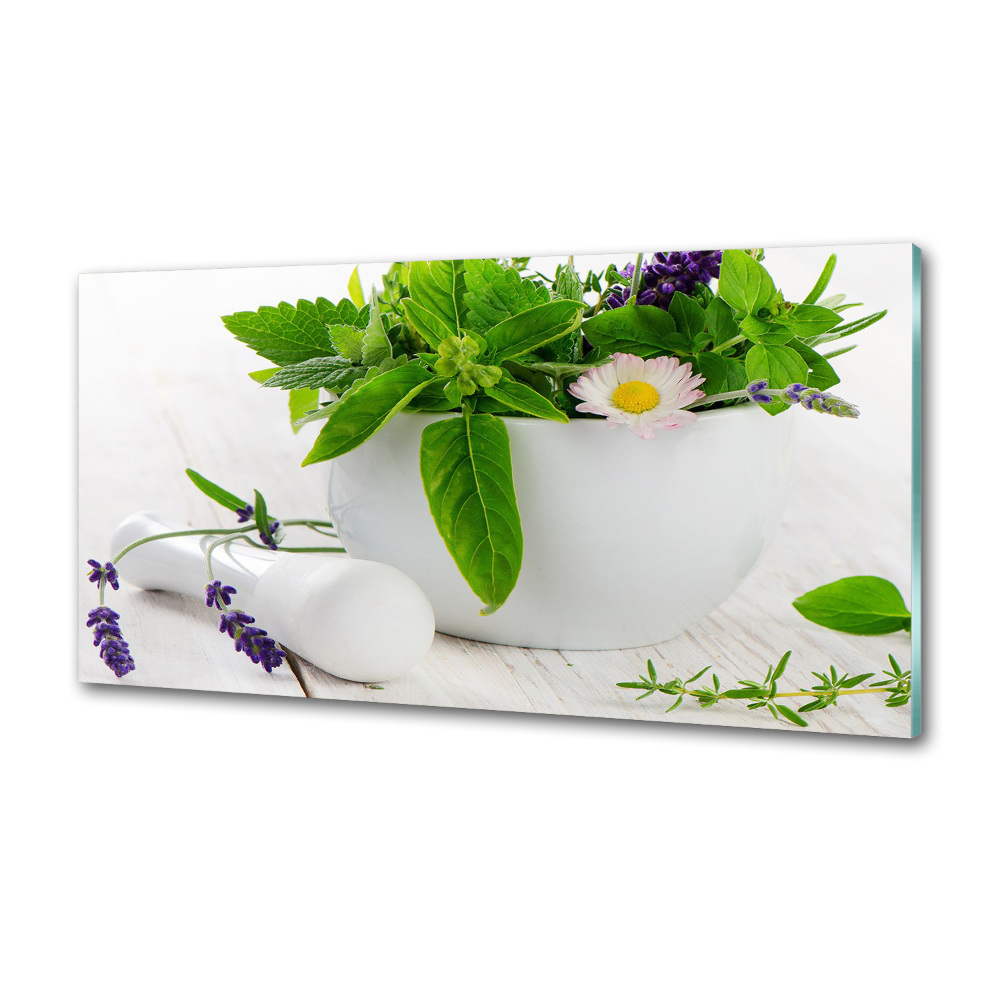 Cooker splashback Mortar and herbs