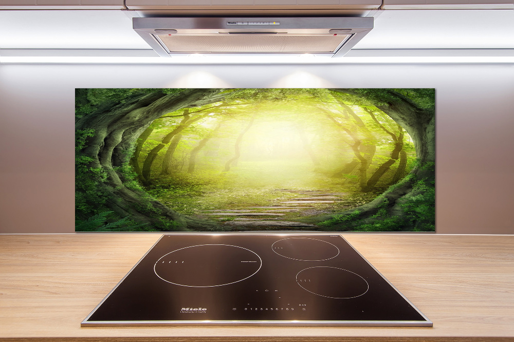 Cooker splashback Tunnel of trees