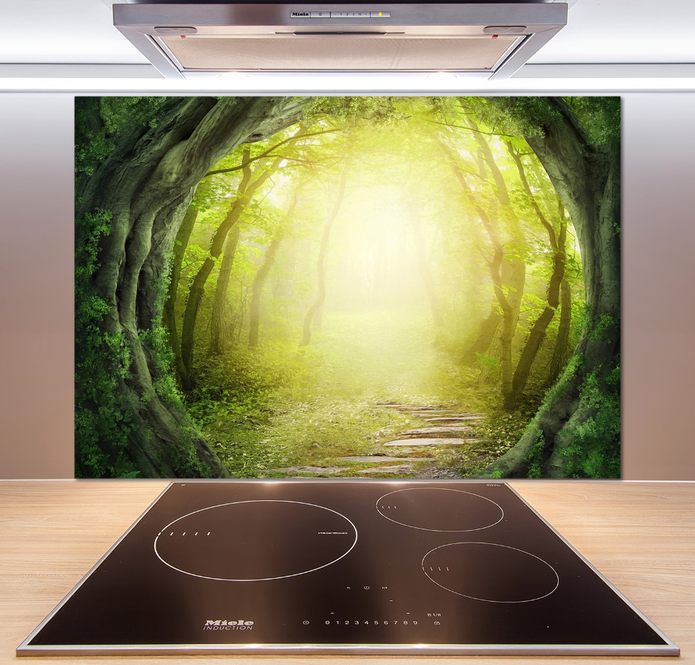 Cooker splashback Tunnel of trees