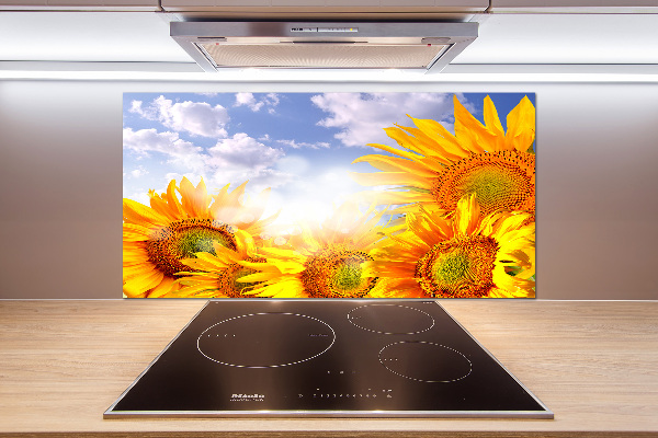 Cooker splashback Sunflowers