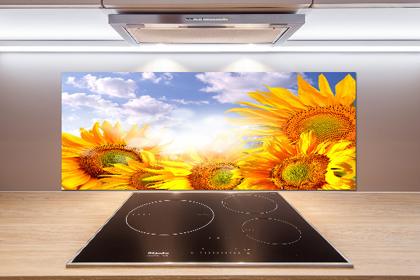 Cooker splashback Sunflowers