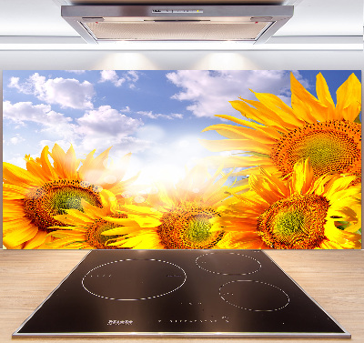 Cooker splashback Sunflowers