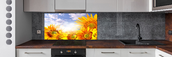 Cooker splashback Sunflowers