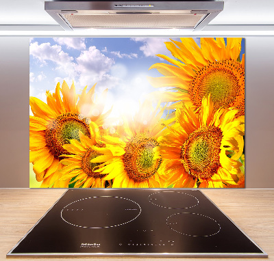 Cooker splashback Sunflowers