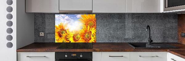 Cooker splashback Sunflowers