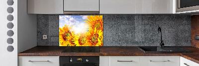 Cooker splashback Sunflowers