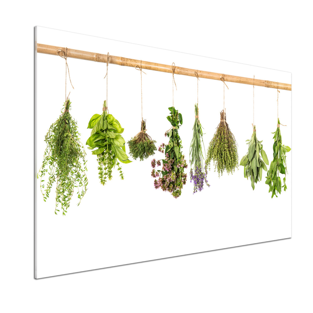 Cooker splashback Herbs on a string