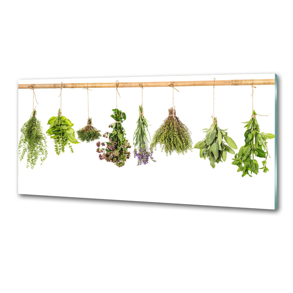 Cooker splashback Herbs on a string