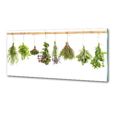 Cooker splashback Herbs on a string