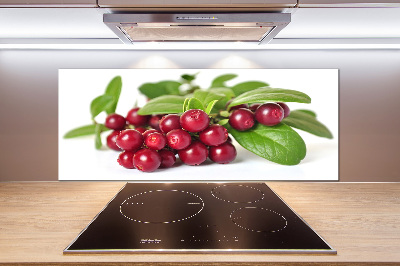 Cooker splashback Cowberry