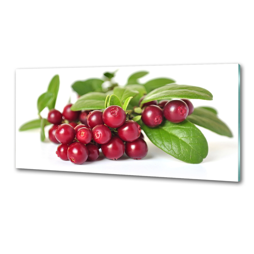 Cooker splashback Cowberry