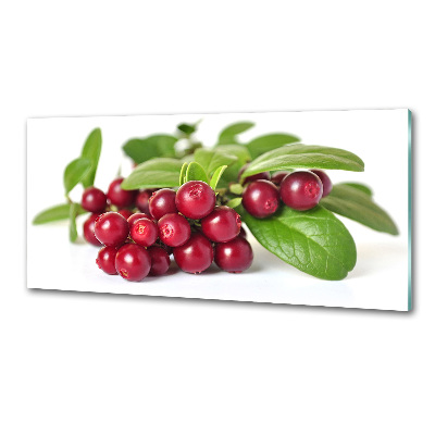 Cooker splashback Cowberry