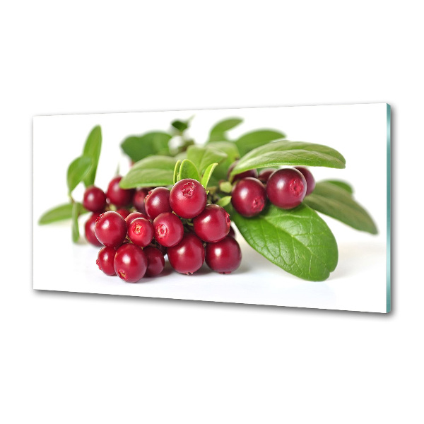 Cooker splashback Cowberry