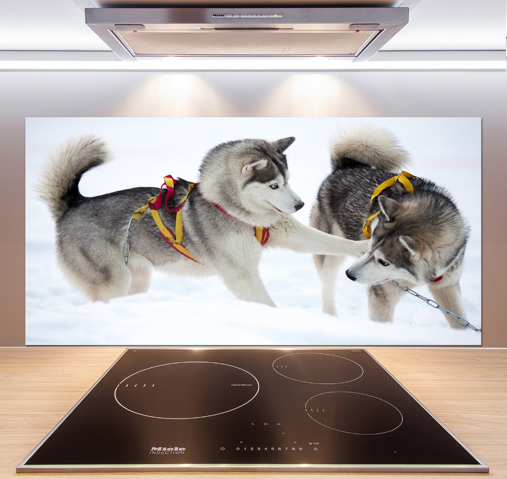 Cooker splashback Husky in winter