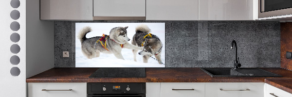 Cooker splashback Husky in winter