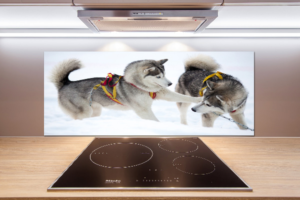 Cooker splashback Husky in winter