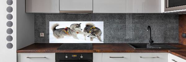 Cooker splashback Husky in winter