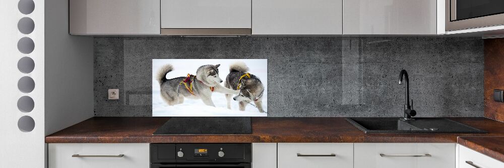 Cooker splashback Husky in winter