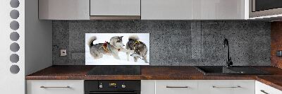 Cooker splashback Husky in winter