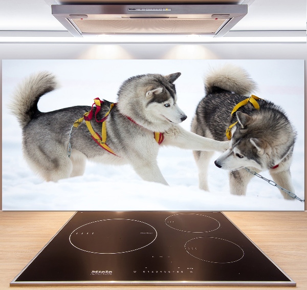 Cooker splashback Husky in winter