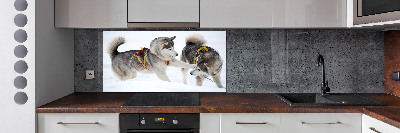 Cooker splashback Husky in winter