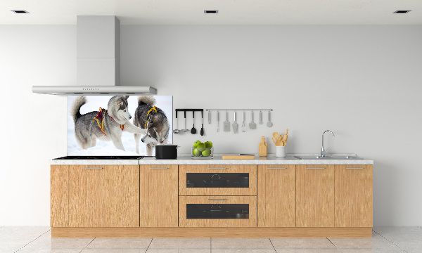 Cooker splashback Husky in winter