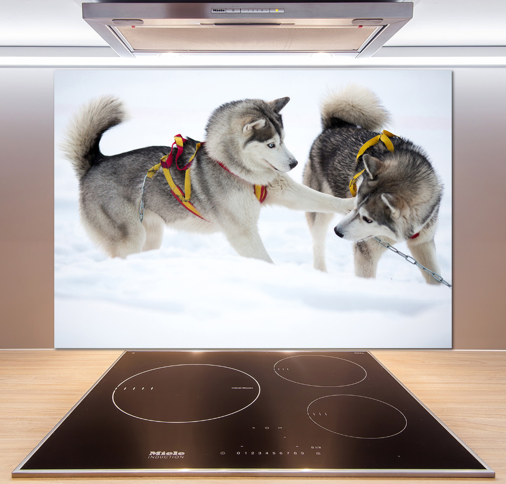 Cooker splashback Husky in winter