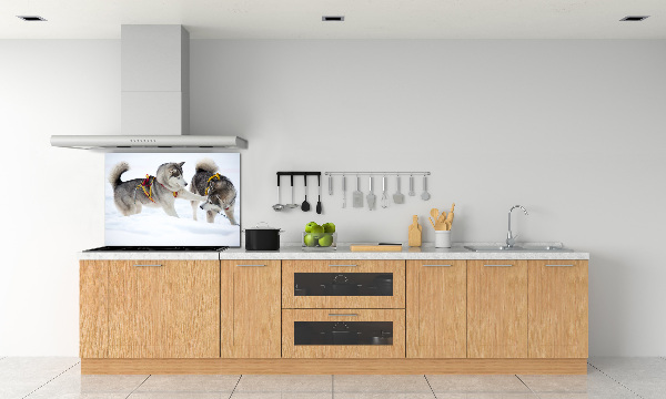 Cooker splashback Husky in winter