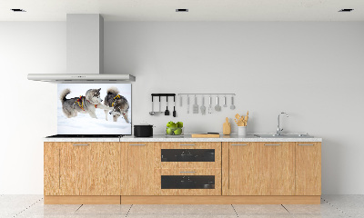 Cooker splashback Husky in winter