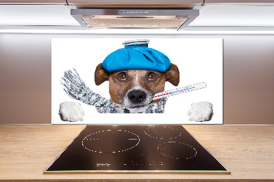 Cooker splashback Sick dog