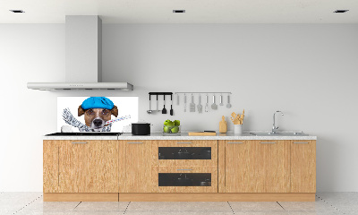 Cooker splashback Sick dog