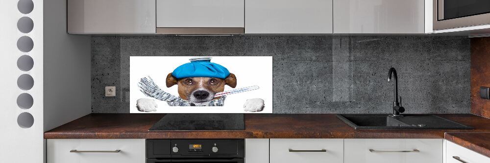 Cooker splashback Sick dog