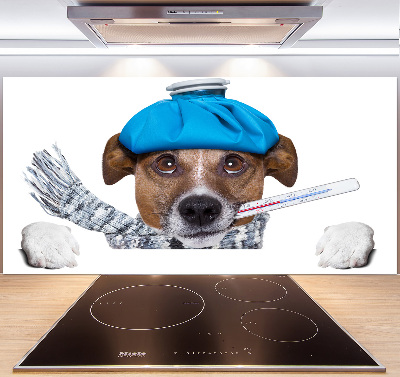 Cooker splashback Sick dog