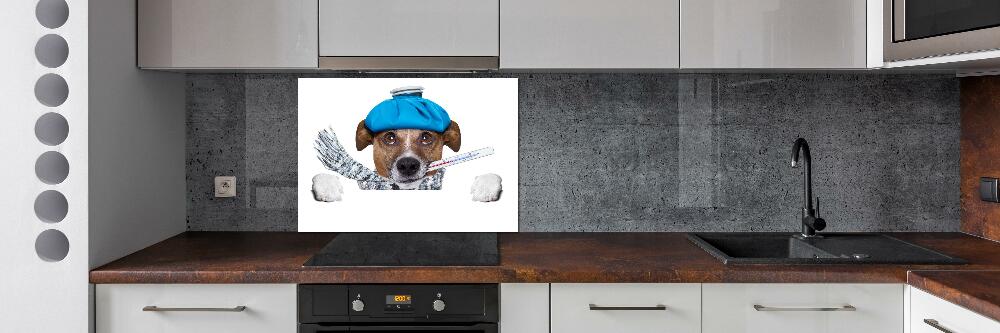 Cooker splashback Sick dog