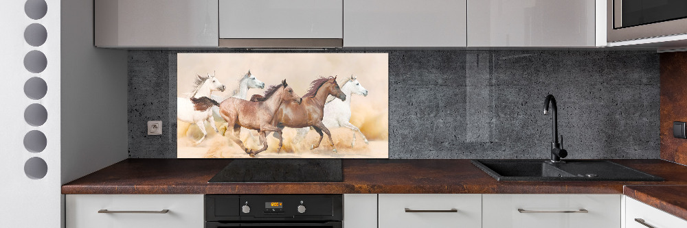 Cooker splashback Horses at gallop