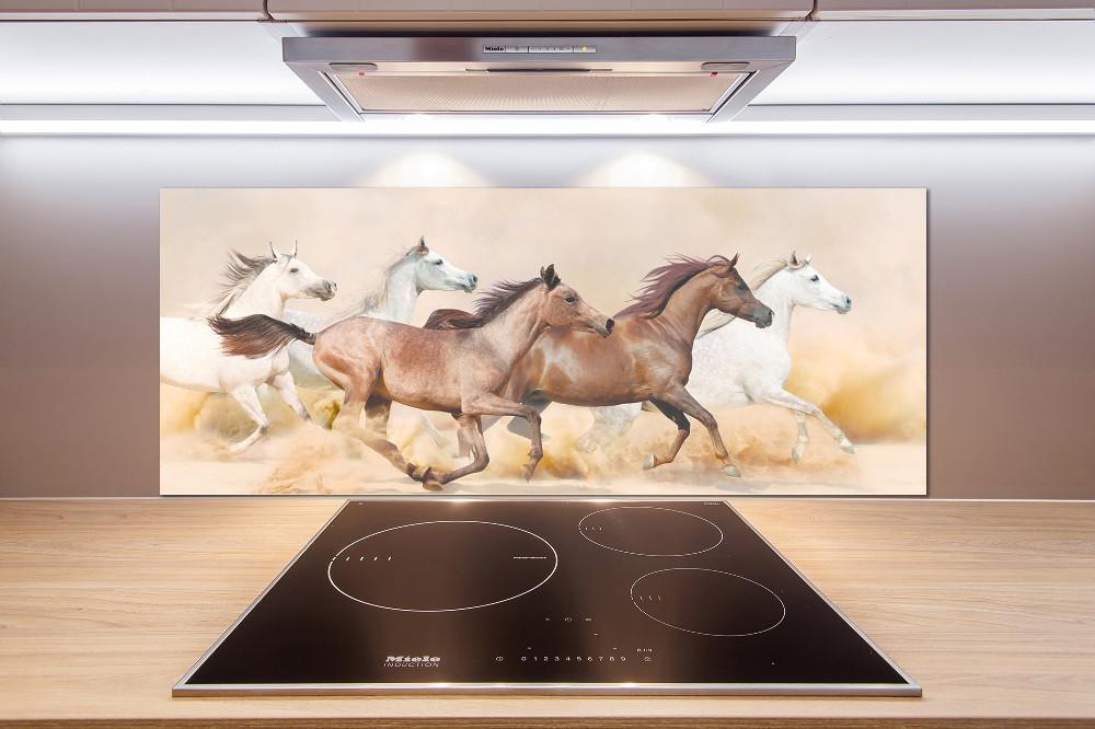 Cooker splashback Horses at gallop