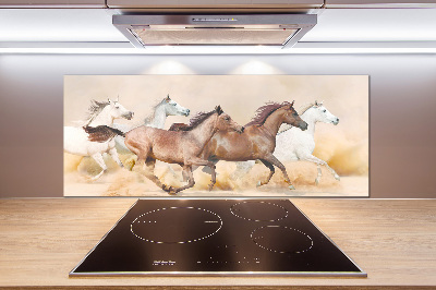 Cooker splashback Horses at gallop