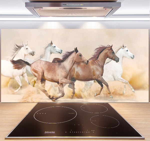 Cooker splashback Horses at gallop