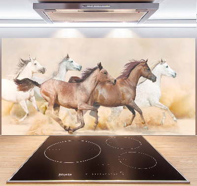 Cooker splashback Horses at gallop